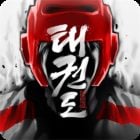 Taekwondo Game icon