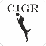Cigr – live photo from video