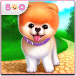 Boo – The Worlds Cutest Dog