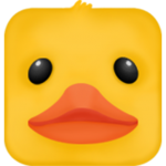 Zig Zag Duck