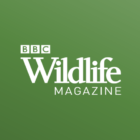 BBC Wildlife Magazine – Animal News, Facts & Photo