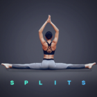 Splits. Flexibility Training. Stretching Exercises