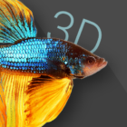 Betta Fish 3D – 3D Live Wallpaper icon