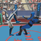 Real Robot Ninja Ring Fight