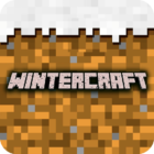 Winter Craft