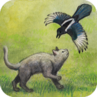 Milo And The Magpies
