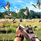 Duck Hunting Challenge