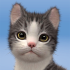 My Cat Pet Game Simulator