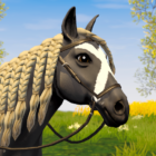Star Equestrian – Horse Ranch