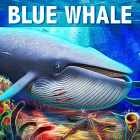 Blue Whale Simulator – Game