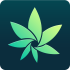 HiGrade: Cannabis Testing apk