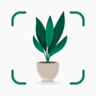 Plantify: AI Plant Identifier