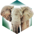 Ark Nova apk