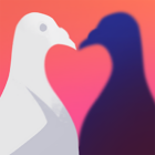 Pigeon A Love Story